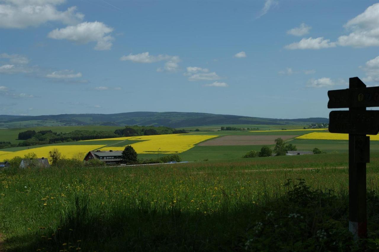 Klein'S Hochwaldscheune Pellingen Екстер'єр фото